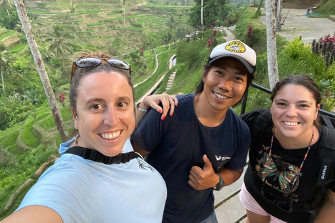 Ubud: Foresta di scimmie, terrazze di riso e cascateUbud: Foresta di scimmie, terrazza di riso e cascata