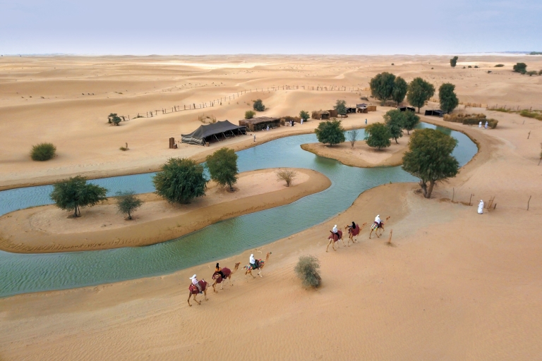 Al Qudra: Al Marmoom Oasis Experience with Bedouin Dinner Cabana with Dinner & Transfers