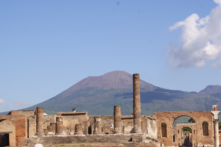 Van Sorrento: dagtocht naar Pompeii en Herculaneum met lunch