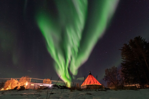 Tromsø: Esperienza di campeggio per l&#039;aurora boreale con pasto caldo locale