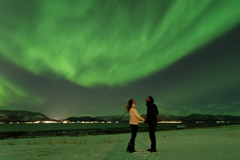 Tromsø : Camp d&#039;observation des aurores boréales avec repas local chaud