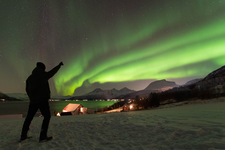 Tromsø: Experiencia de Campamento en Aurora Boreal con Comida Local Caliente