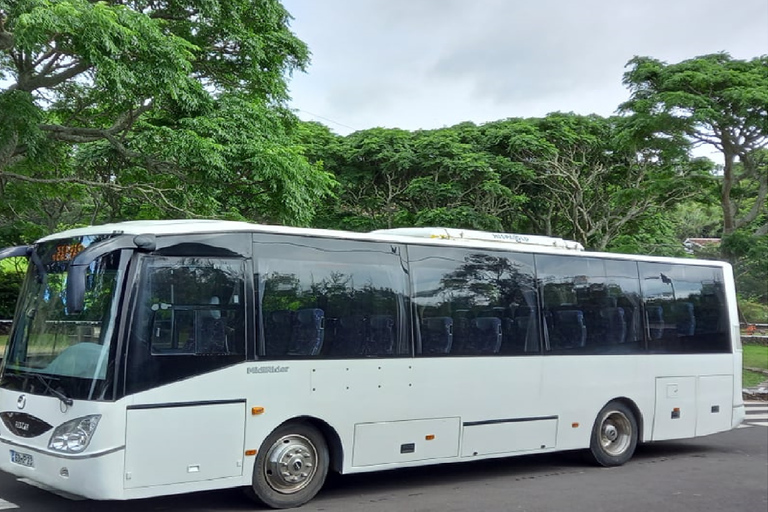 Insel Terceira: Geführte Tagestour mit dem Bus