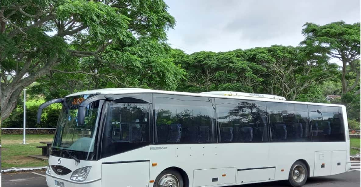 Terceira Private Group Full Day Guided Bus Tour Getyourguide