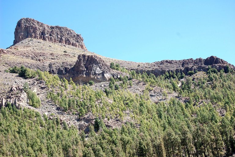 Teide Volcano Ride (Arafo) - Electric Bike Tour