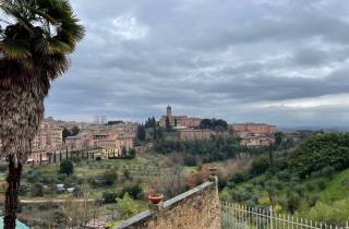 Siena: Geführte Stadtrundfahrt mit direktem Eintritt in die Kathedrale
