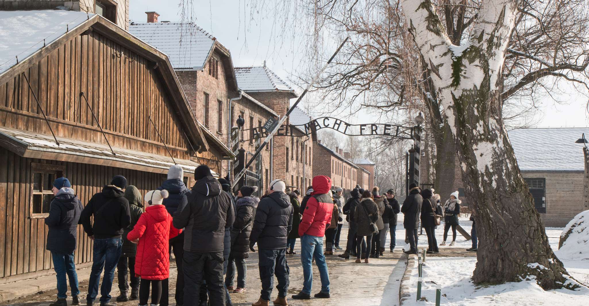 Von Krakau, Auschwitz und Wieliczka Salzmine Tagesausflug - Hizvo