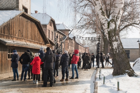 Van Krakau: dagtrip Auschwitz en Wieliczka-zoutmijnRondleiding in het Engels vanaf Meeting Point - Gratis annuleren