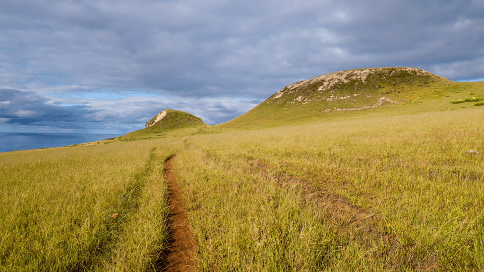 Misterio del Poike:Paseo por la Rapa Nui más desconocida | GetYourGuide