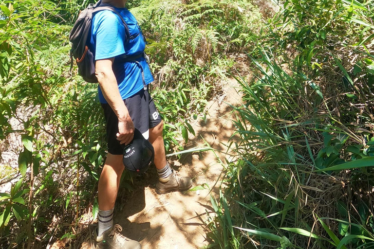 Rio de Janeiro: Pedra da Gávea Guided Hike