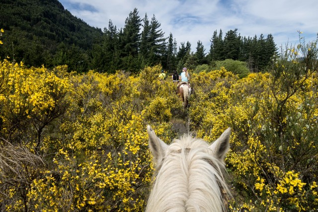 Visit Horseback Riding in Mountain with Lunch in Constance