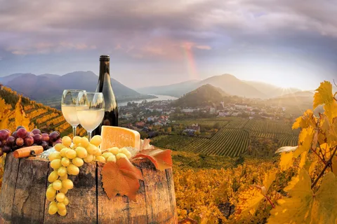 Wien: Weinkeller- und Weinverkostungstour mit einem Weinexperten