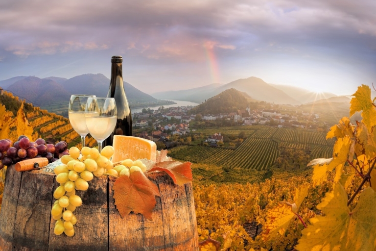 Wenen: wijnmakerij en wijnproeverij met een wijnexpertWenen: wijnmakerij en wijnproeverij van 2 uur