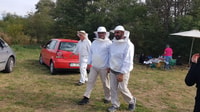 Abeilles en Roumanie - leçon d'abeille privée et déjeuner local - Housity