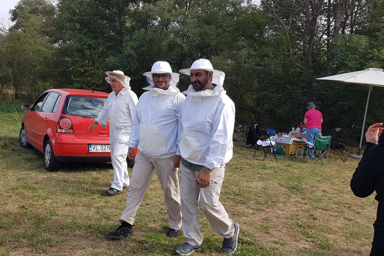 From Bucharest: Private Beekeeping Lesson and Local Lunch