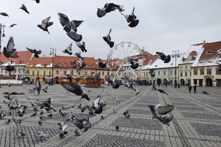 De Bucarest: excursion privée d'une journée à Sibiu
