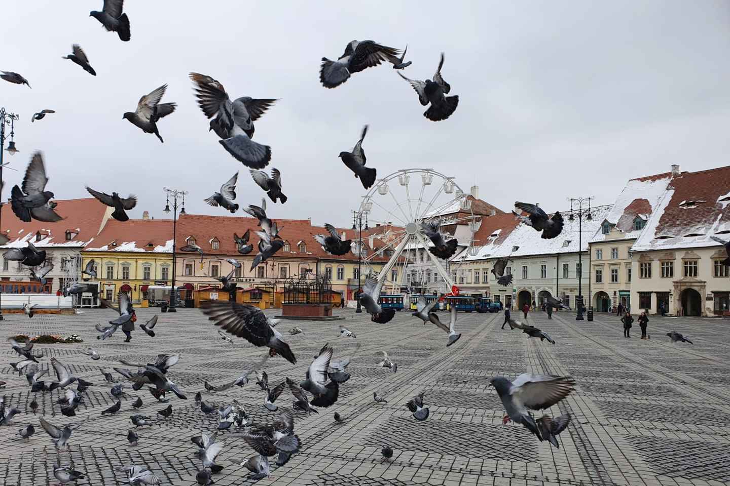 Sibiu City Tour - Private Day Trip from Bucharest