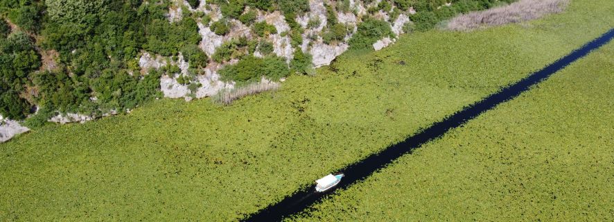 Virpazar: Prywatna wycieczka łodzią po jeziorze Szkoderskim do klasztoru Kom