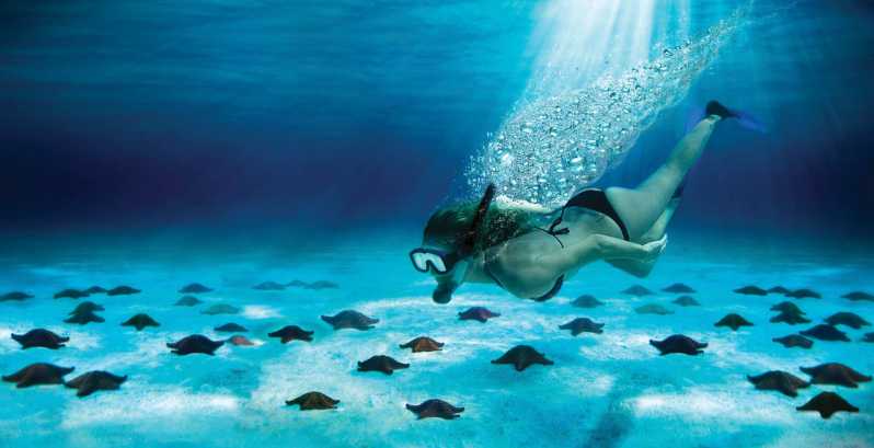 Cozumel: Snorkeling di El Cielo e Palancar con Open Bar e Ceviche