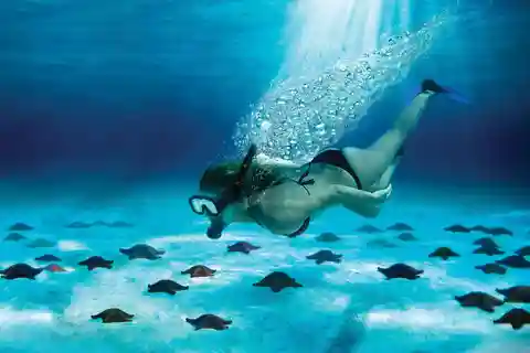 Cozumel: El Cielo e Palancar Snorkel com Open Bar e Ceviche