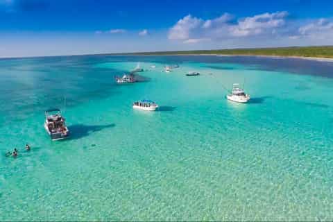 El Cielo and Palancar: Snorkelling with Open-Bar and Ceviche