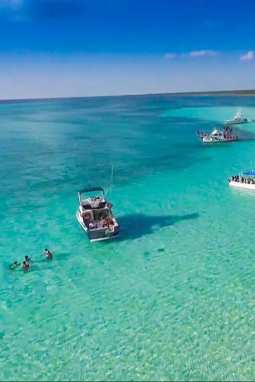 Cozumel: El Cielo & Palancar Snorkel with Open Bar & Ceviche | GetYourGuide