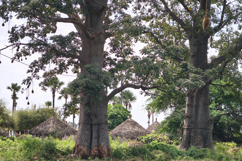 Saly: Rural Villages Tour