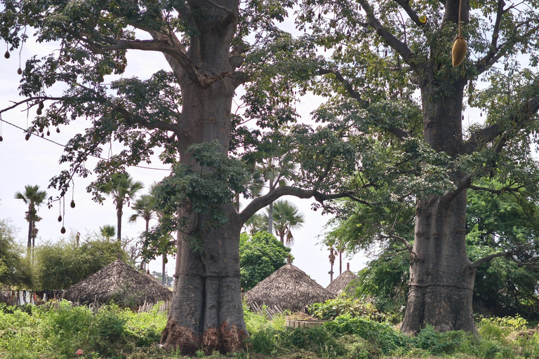 Saly: Rural Villages Tour