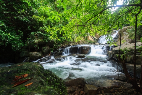 Khao Lak: całodniowa wycieczka jeepem po dżungli z lunchem