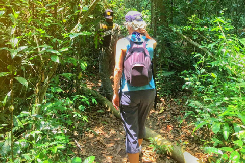 Da Bangkok: Escursione di un piccolo gruppo nel Parco Nazionale di Khao YaiTour condiviso con punto di incontro