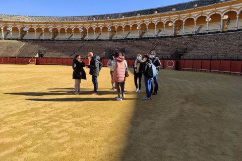 Sevilla: rondleiding stierenarena & voorrangsticket