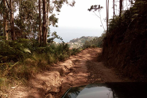 Madeira: 2 ganztägige und 1 halbtägige 4x4 Special Tour Combo