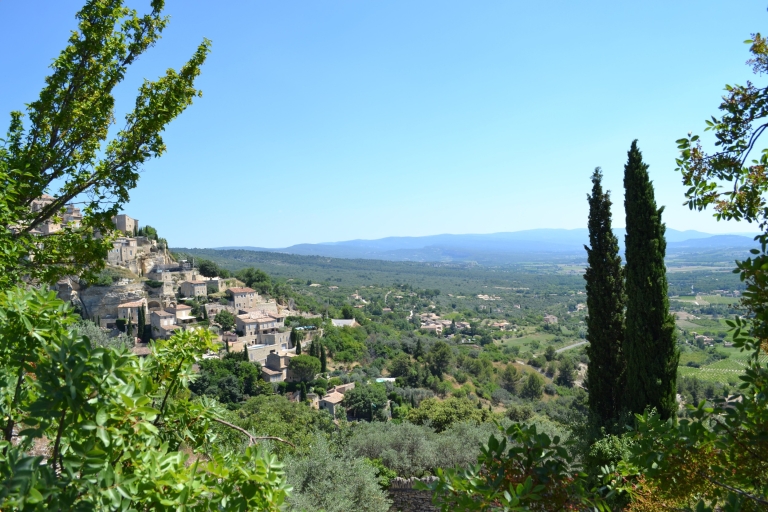 From Marseille Cruise Port: Group Luberon Villages Excursion