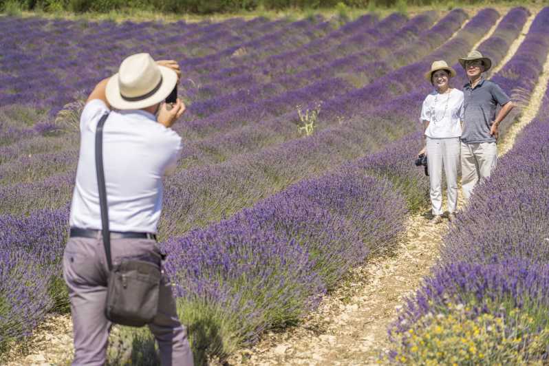 From Marseille: Valensole Lavenders Tour from Cruise Port