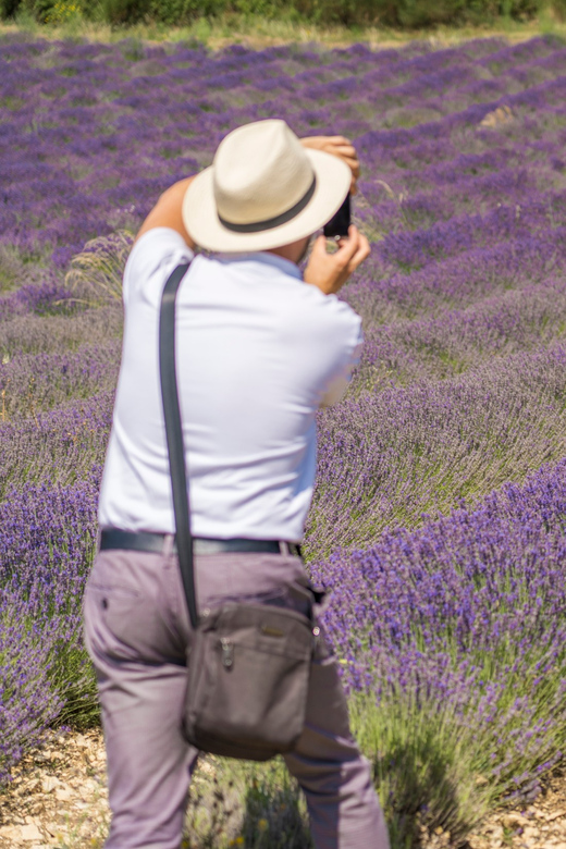 Fragranteria Candela Profumata Lavanda di Valensole Class