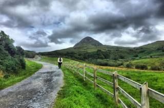 Von Galway aus: Connemara und Connemara National Park Tagestour