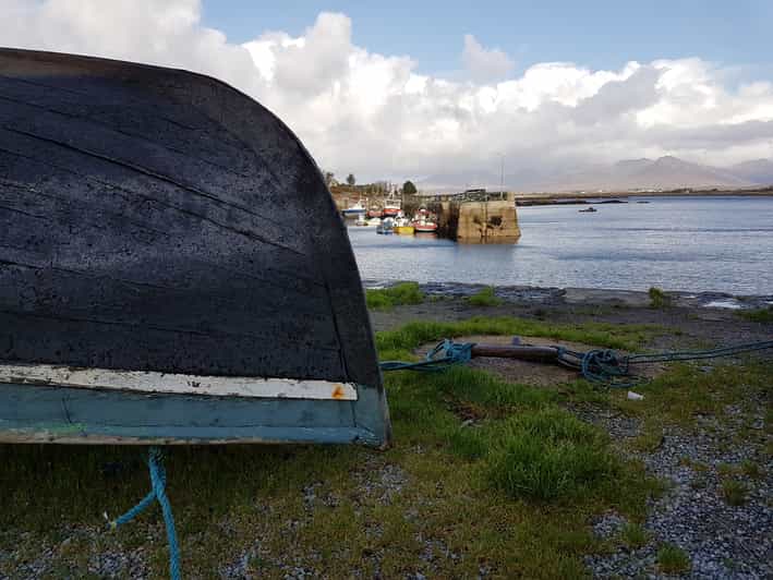 Da Galway tour giornaliero del Connemara e del Parco nazionale del