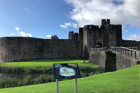 Vanuit Londen: Dagtrip naar Cardiff met toegang tot Cardiff Castle