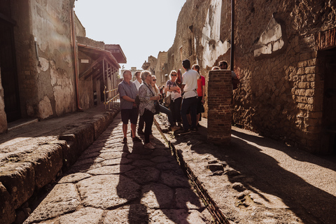 Napels: rondleiding Herculaneum met archeoloog + voorrangRondleiding Herculaneum met archeoloog + voorrang Italiaans