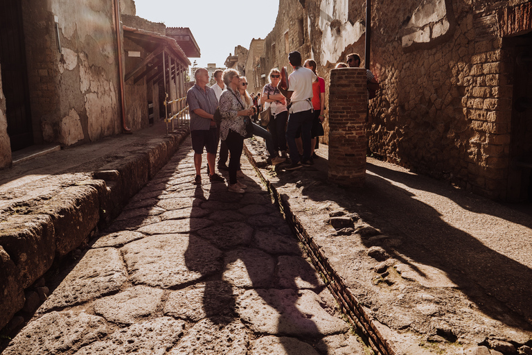 Napels: rondleiding Herculaneum met archeoloog + voorrangRondleiding Herculaneum met archeoloog + voorrang Italiaans