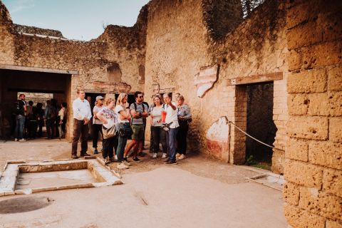 Ercolano: accesso rapido e tour con archeologo da Napoli