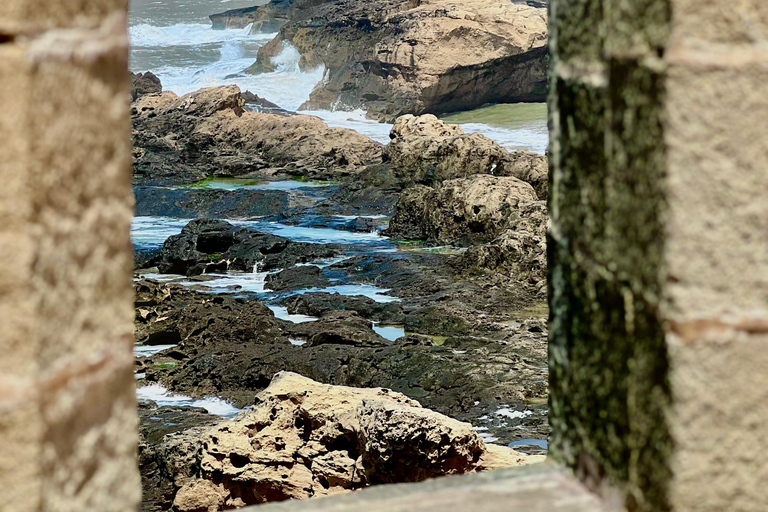 From Marrakech: Essaouira Day Trip with Beach & Medina Essaouira Small Group Day Trip