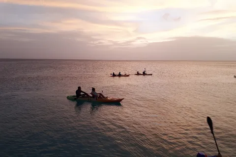 Aruba: Clear-bottom Kayak Guided Night Tour on Arashi Beach
