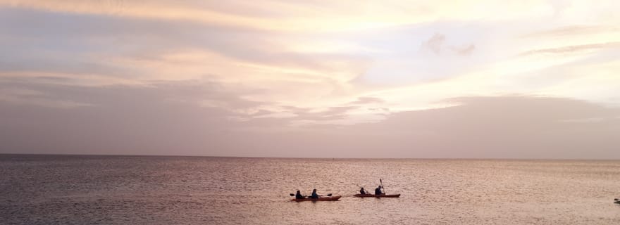 Aruba : Excursion nocturne guidée en kayak à fond transparent sur la plage d'Arashi