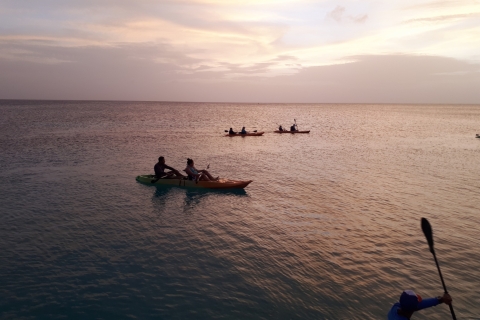 Aruba: Nocna wycieczka z przewodnikiem po jasnym dnie po plaży Arashi