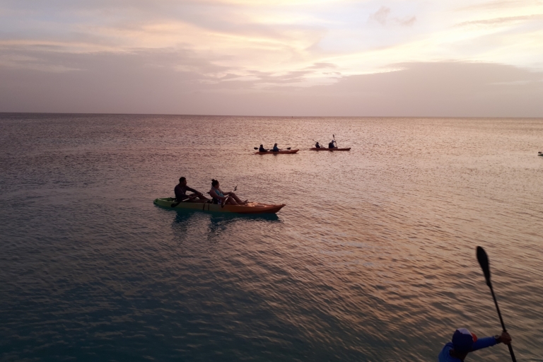 Aruba: begeleide nachtelijke kajaktocht met heldere bodem op het strand van Arashi