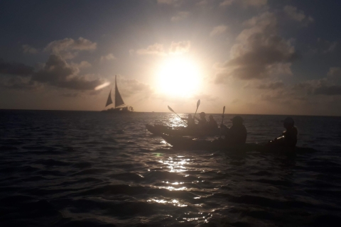 Aruba: visite nocturne guidée en kayak à fond clair sur la plage d'Arashi