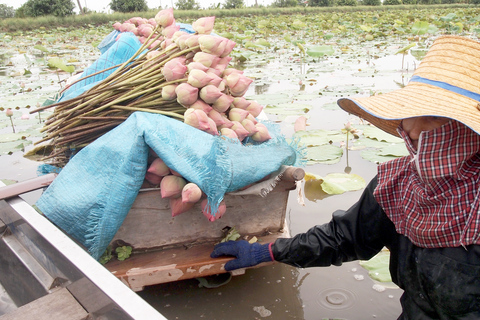 From Bangkok: Mahasawat Canal and farm with LunchFrom Bangkok: Mahasawat Canal Half-Day Trip