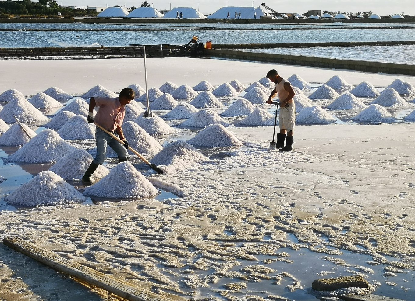 Fra Trapani: Saltvejstur med besøg på vingård og bådtur