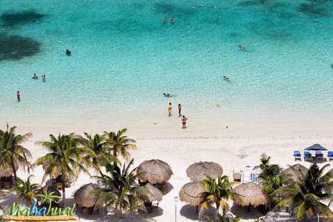 From Chetumal or Bacalar: Full-Day Beach Trip to Mahahual